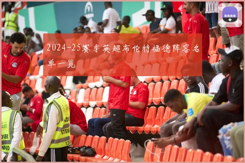 2024-25赛季英超布伦特福德阵容名单一览