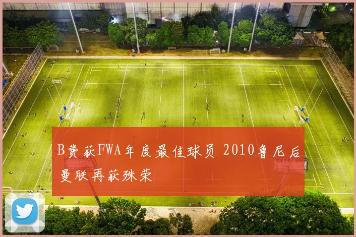 B费获FWA年度最佳球员 2010鲁尼后曼联再获殊荣