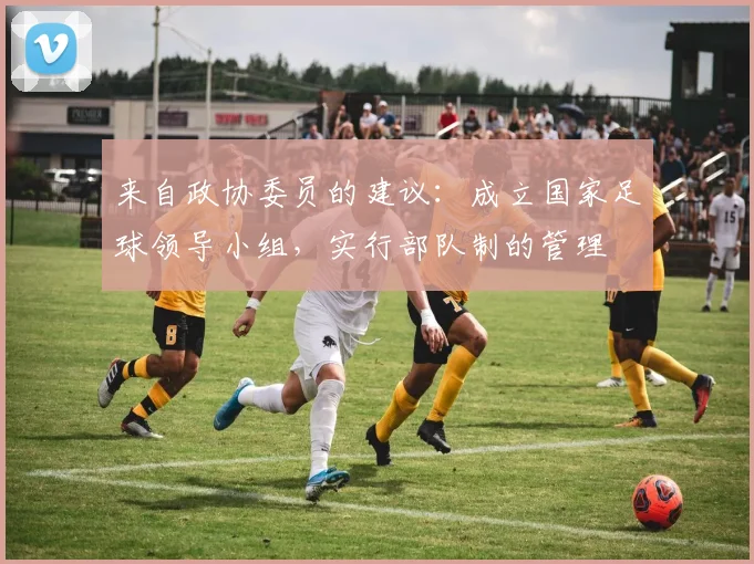 来自政协委员的建议：成立国家足球领导小组，实行部队制的管理