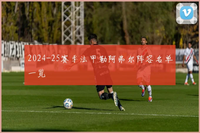 2024-25赛季法甲勒阿弗尔阵容名单一览